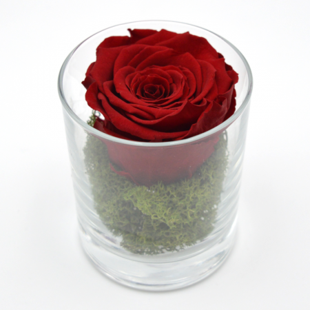votre artisan fleuriste vous propose le bouquet : Rose stabilisée
