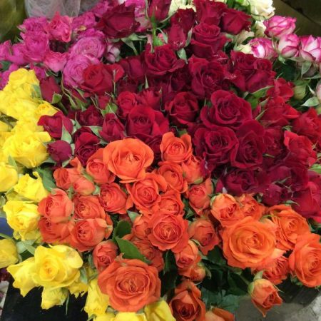 votre artisan fleuriste vous propose le bouquet : Roses de Jacques Blanchon Fleuriste Le Chesnay-Rocquencourt