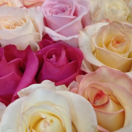 votre artisan fleuriste vous propose le bouquet : Roses de Aux floralies