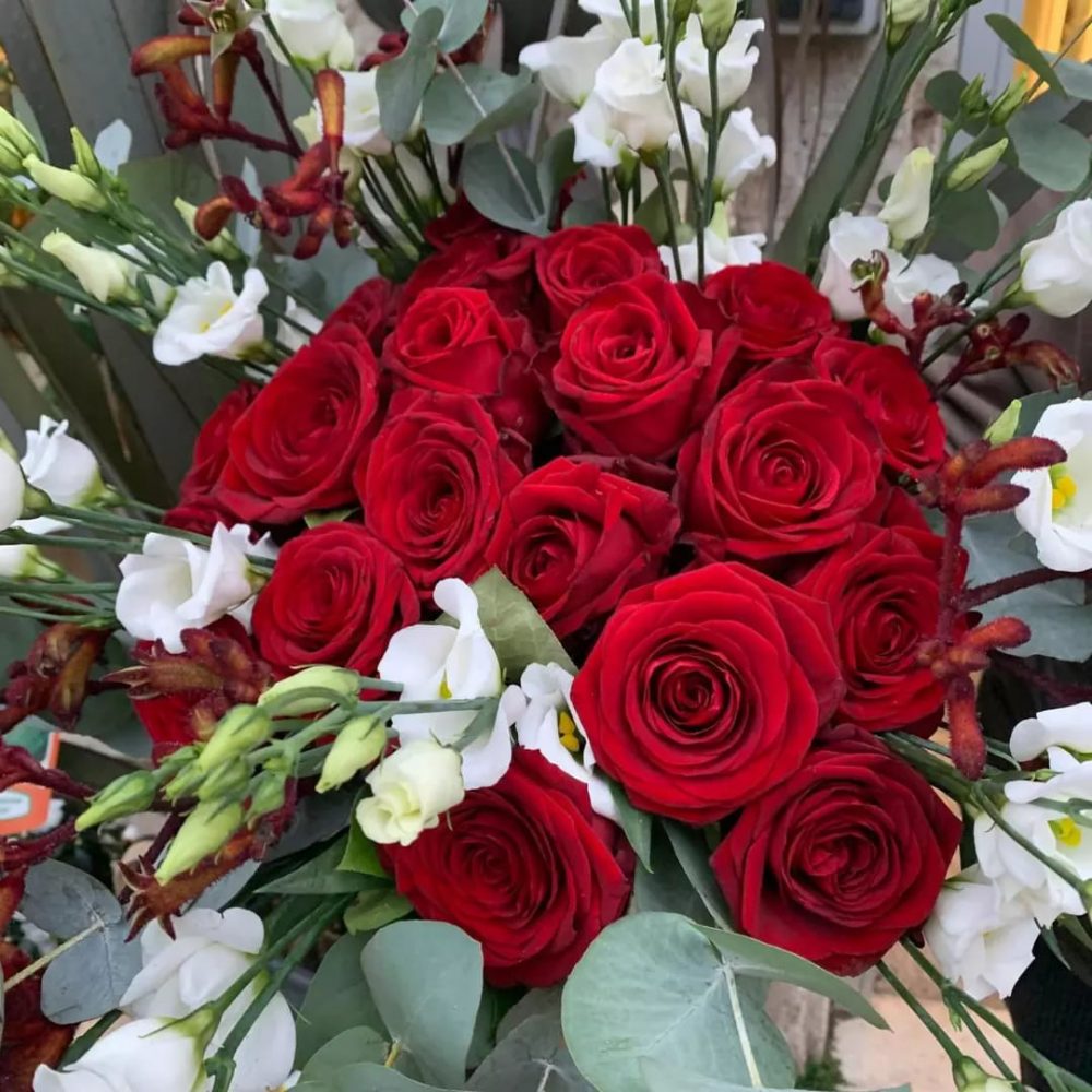 Bouquet de roses rouge