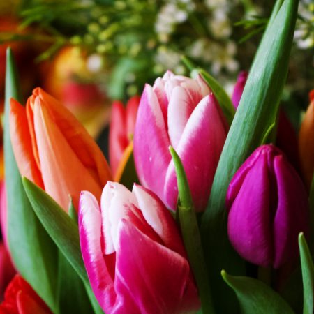 votre artisan fleuriste vous propose le bouquet : Tulipe