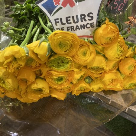 votre artisan fleuriste vous propose le bouquet : Fleurs de France 🇫🇷