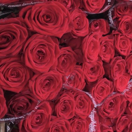 votre artisan fleuriste vous propose le bouquet : Roses à l'unité "Red Naomi"