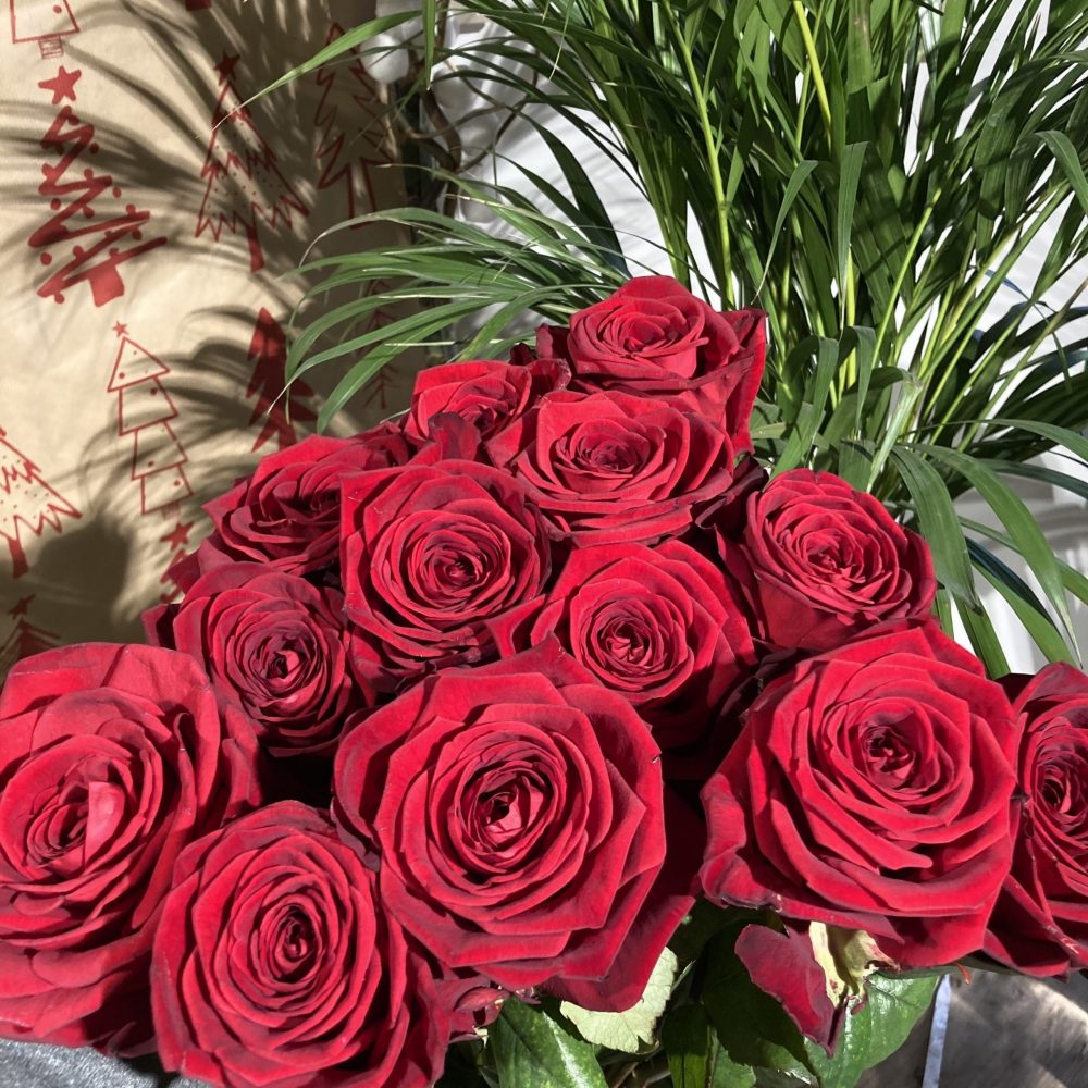 Roses, par Au Pouvoir Des Fleurs, fleuriste à Saint-Martin-des-Champs