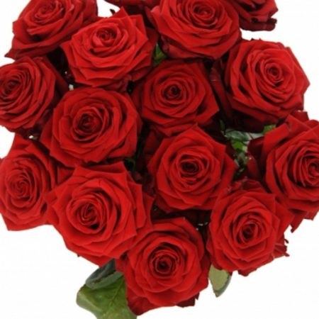 votre artisan fleuriste vous propose le bouquet : Rose Red Naomi