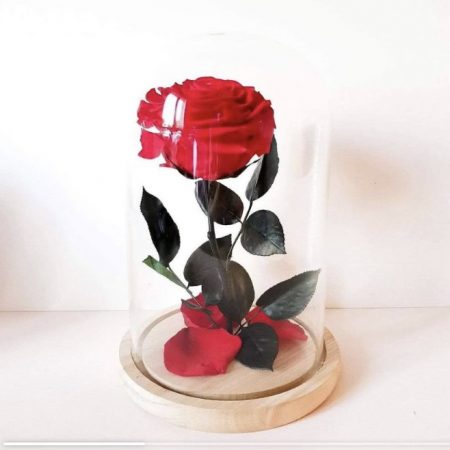 votre artisan fleuriste vous propose le bouquet : Rose éternelle sous cloche