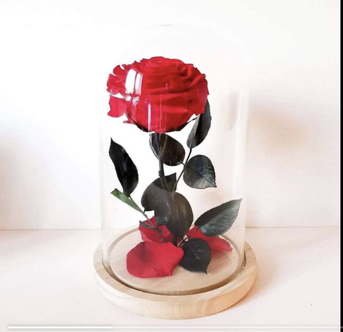 Rose éternelle sous cloche, par Grima Primavera, fleuriste à Marseille