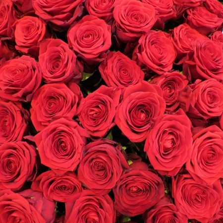 votre artisan fleuriste vous propose le bouquet : Les Roses