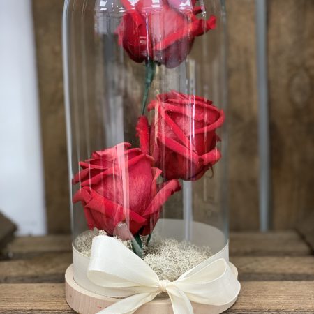 La Cloche « rose éternelle » de Florever Vernon, par Florever Vernon, fleuriste à Vernon