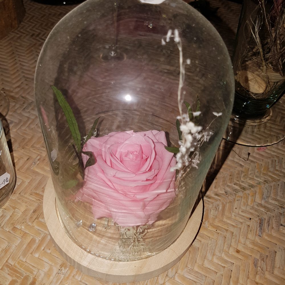 Fleurs séchées ou roses éternelles sous cloche.