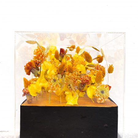 votre artisan fleuriste vous propose le bouquet : Cube de fleurs séchées