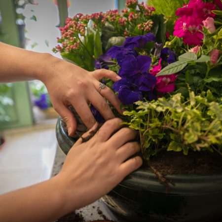 votre artisan fleuriste vous propose le bouquet : Coupe de plantes