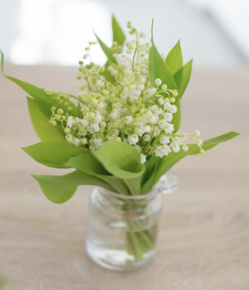 muguet, par Bossez Fleurs, fleuriste à Béziers