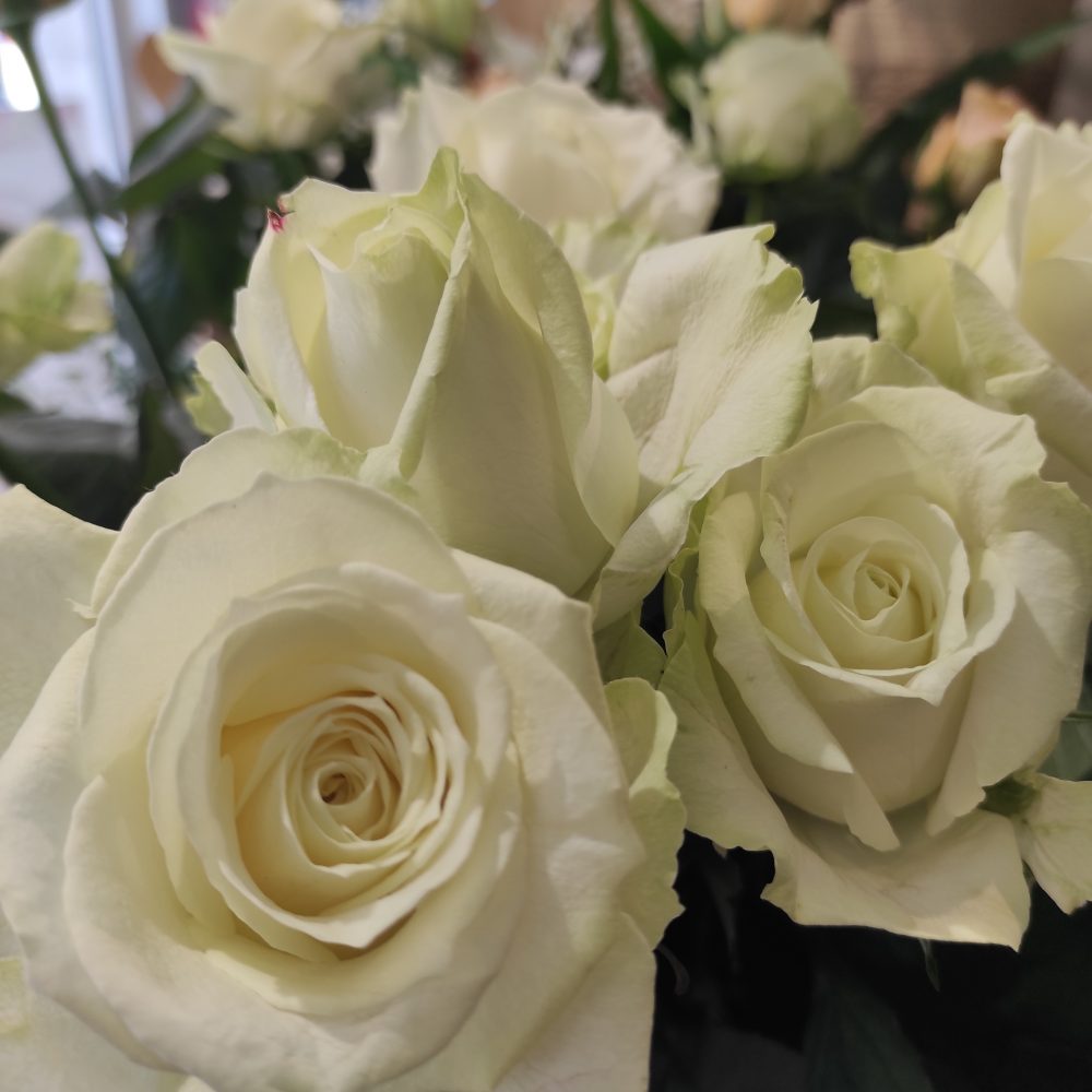 Roses de Duo de Fleurs, par Duo de Fleurs, fleuriste à Toulon