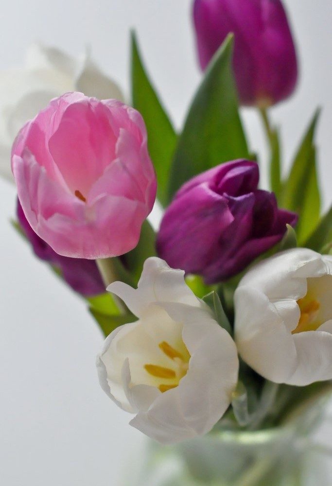 Bouquet de Tulipes, par Claudie, fleuriste à Beautiran