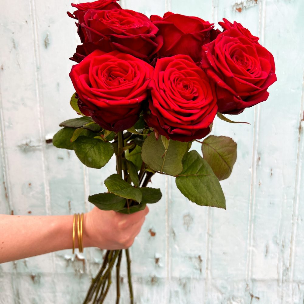 Roses de Demoras Fleuriste, par Demoras Fleuriste, fleuriste à Roanne