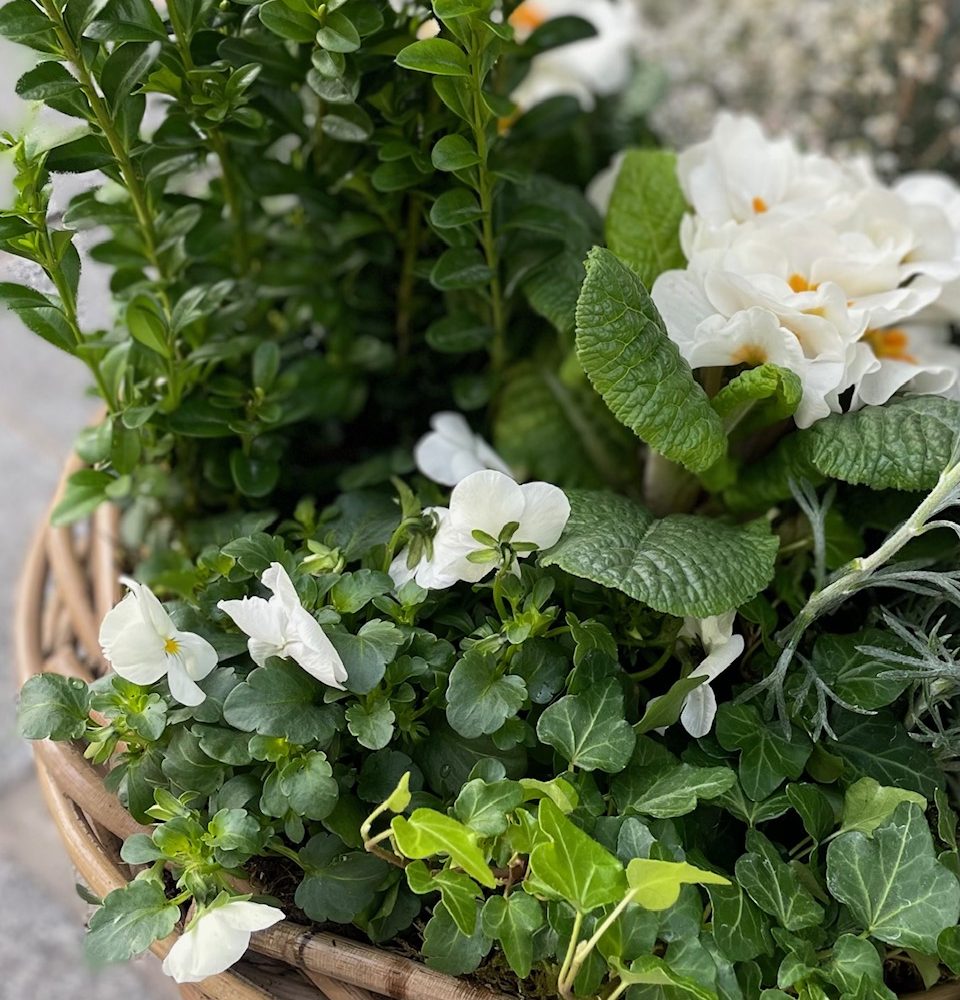 Jardin paysager, par La Maison Fleurie, fleuriste à Douai