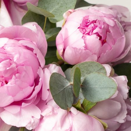 Bouquet de Pivoines, par Fleurs & Terres, fleuriste à Talence