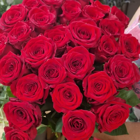Roses à la Tige - 50cm, par Rosae, fleuriste à Hyères
