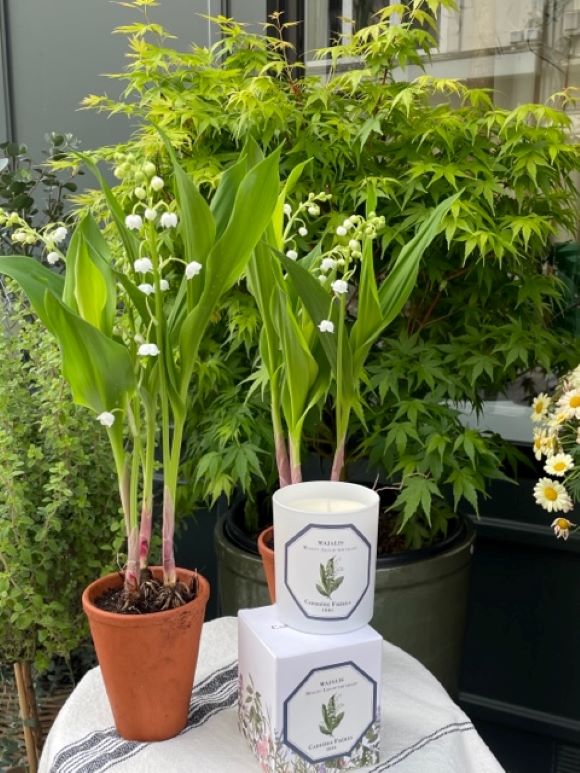 ¨Pot de Muguet