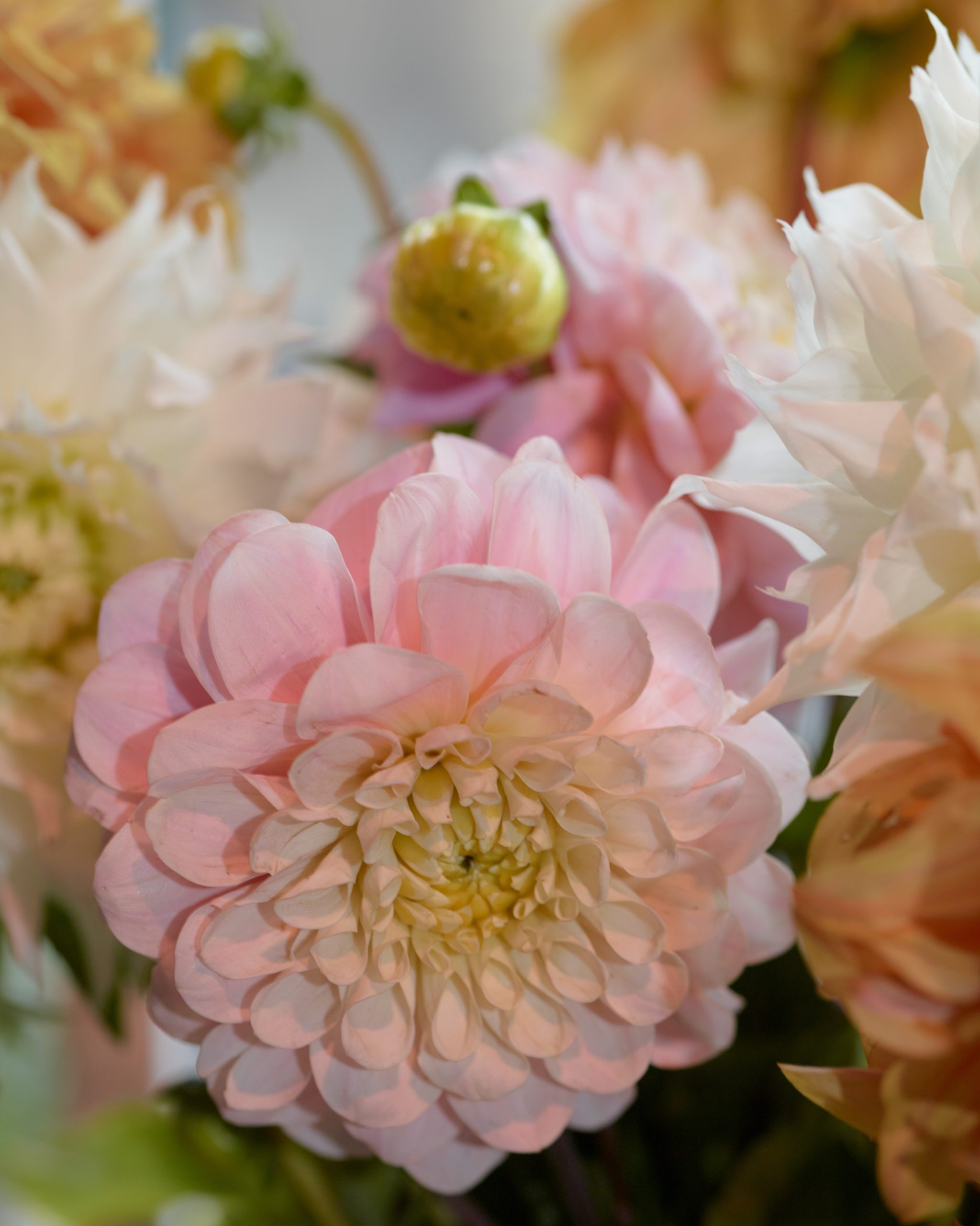 Les plus belles fleurs de saison livrées par votre artisan fleuriste