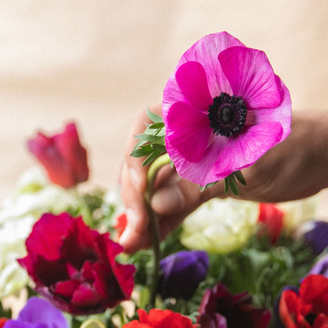 Les plus belles fleurs de saison livrées par votre artisan fleuriste