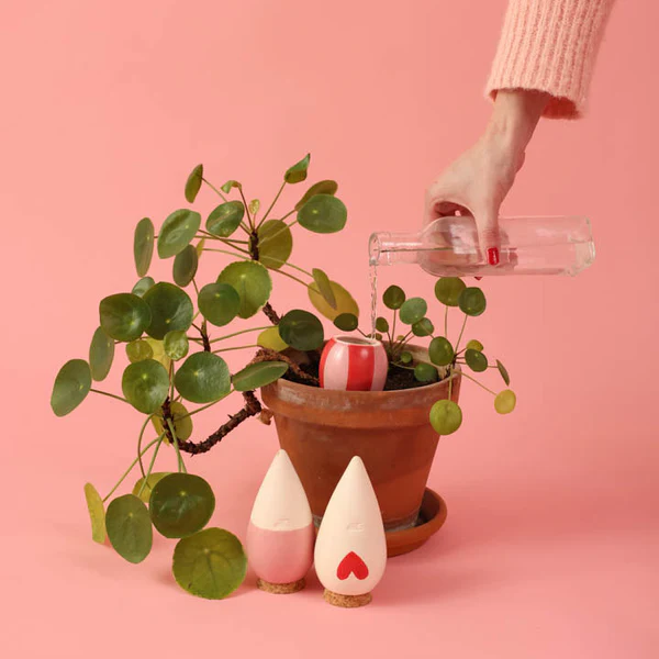 TRIO MINI OLLAS LOVERS, par O'kiosque Lyon, fleuriste à Lyon