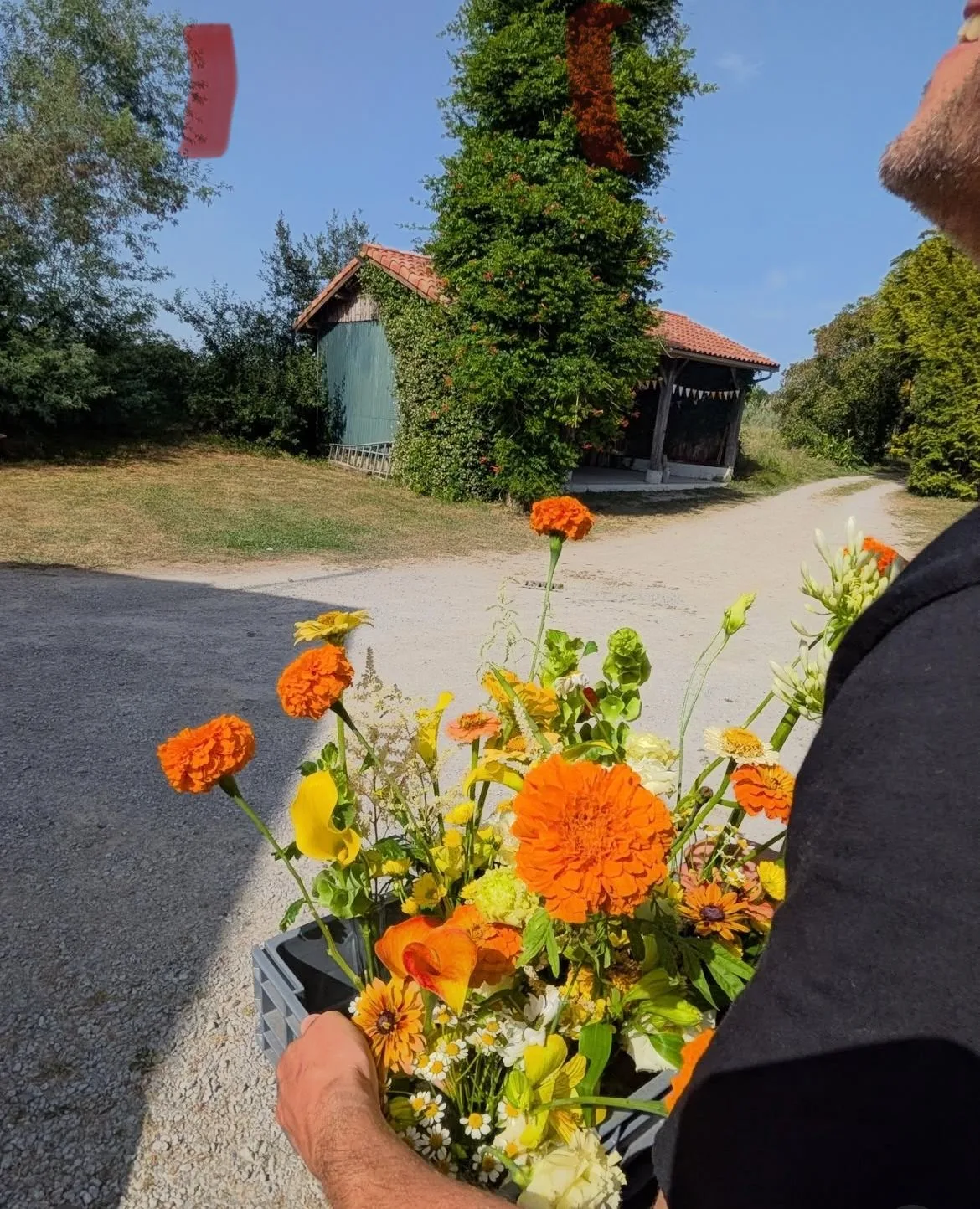 Livraison de fleurs Saint-Jean-de-Luz et proximité, par Hortense, artisan fleuriste