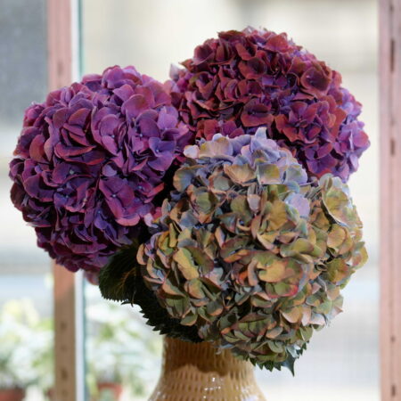 Bouquet d'Hortensias, par Votre Studio Floral, fleuriste à Paris