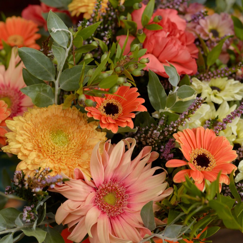 Les plus belles fleurs de saison livrées par votre artisan fleuriste