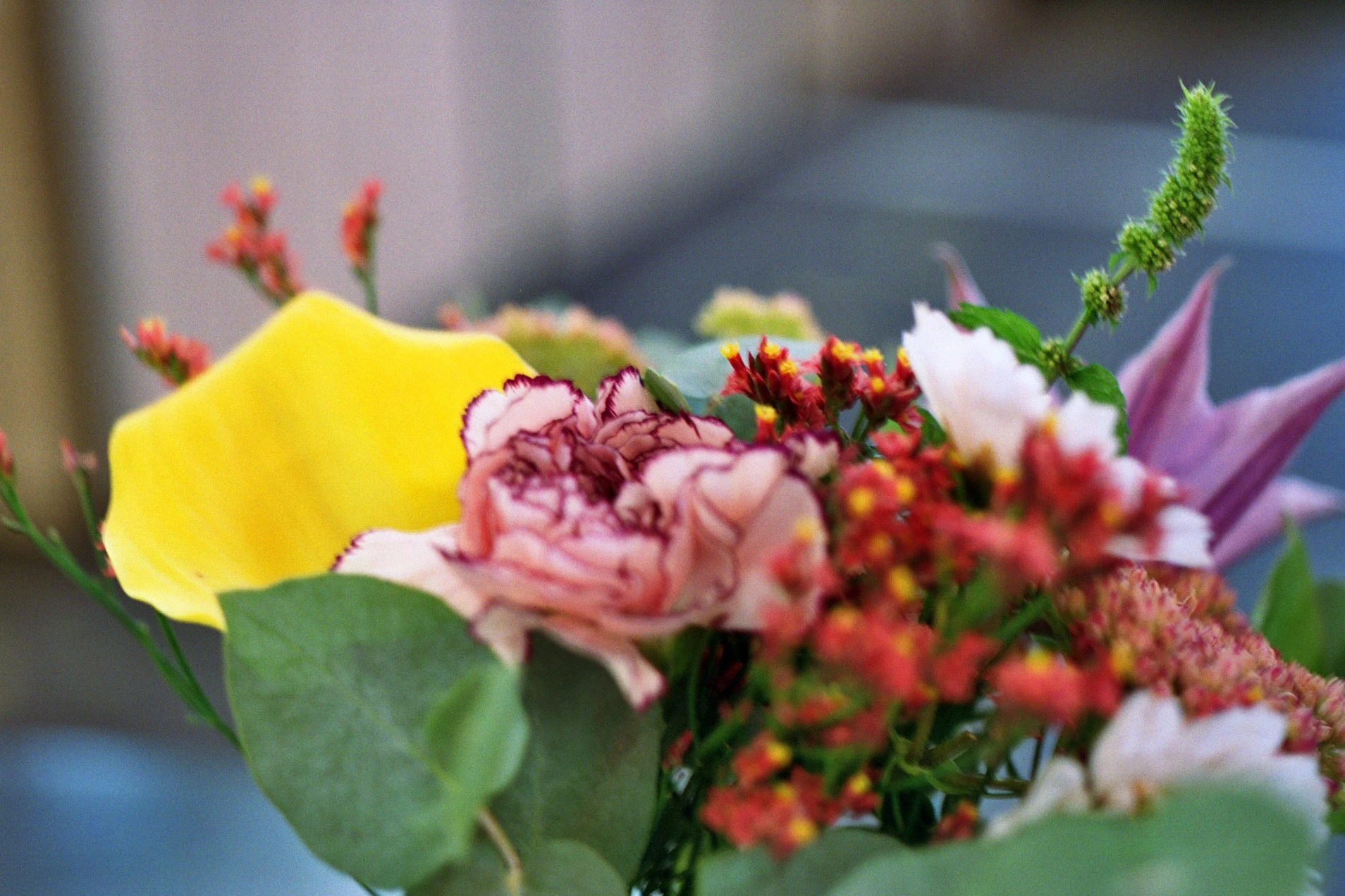 Livraison de fleurs Tresses et proximité, par Le Camélia, artisan fleuriste