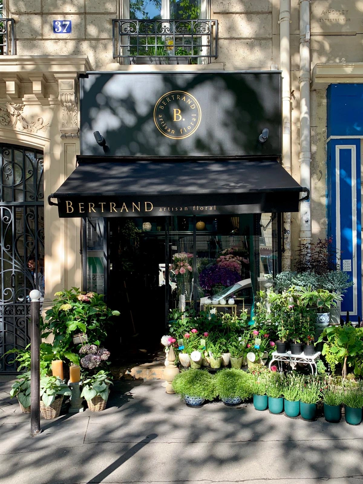 Livraison de fleurs Paris et proximité, par Bertrand Artisan Floral, artisan fleuriste