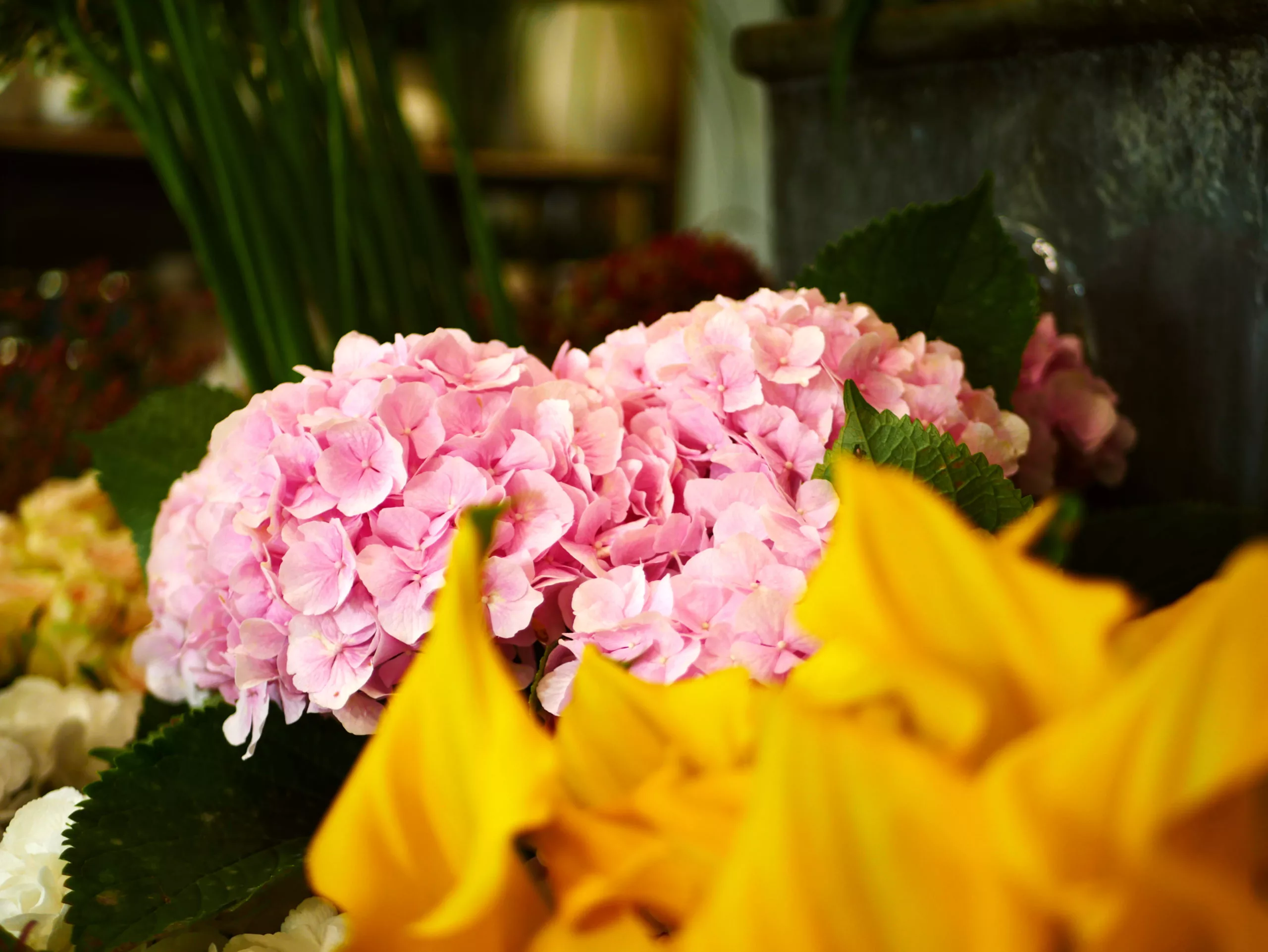 Livraison de fleurs Paris et proximité, par Germinal, artisan fleuriste