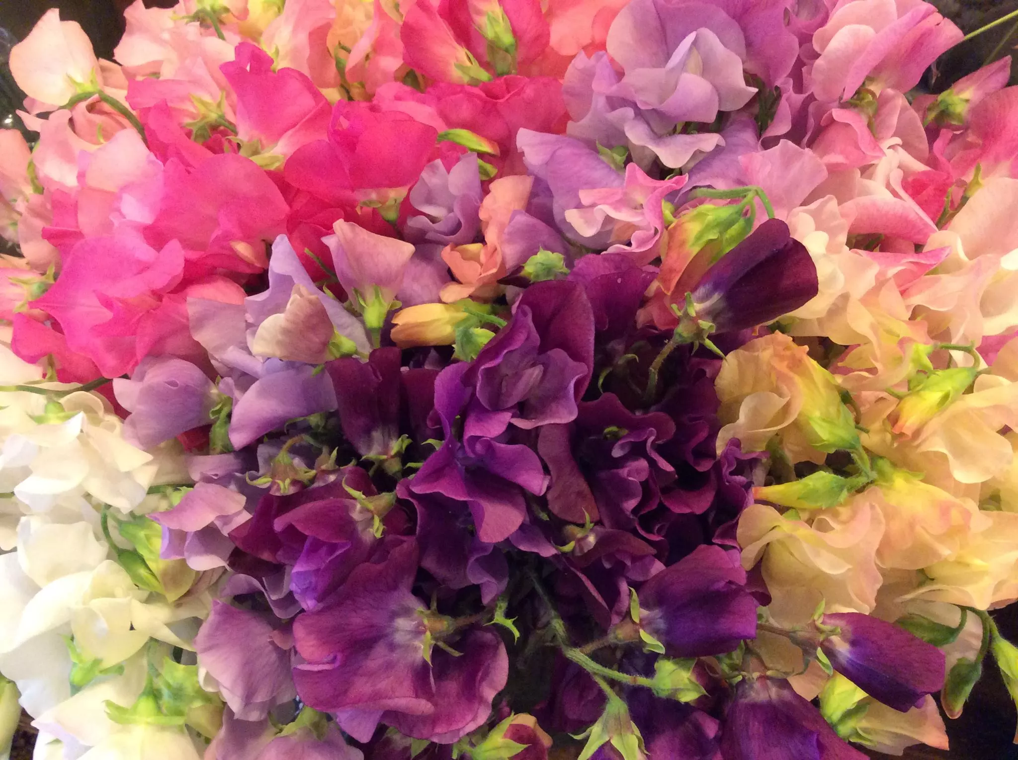 Livraison de fleurs Paris et proximité, par L’arbre bleu, artisan fleuriste