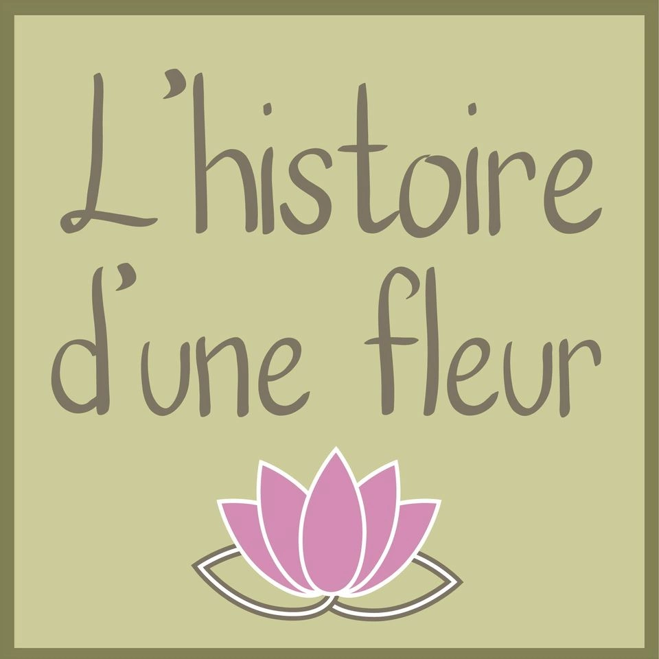 Livraison de fleurs Paris et proximité, par L'Histoire d'une fleur, artisan fleuriste