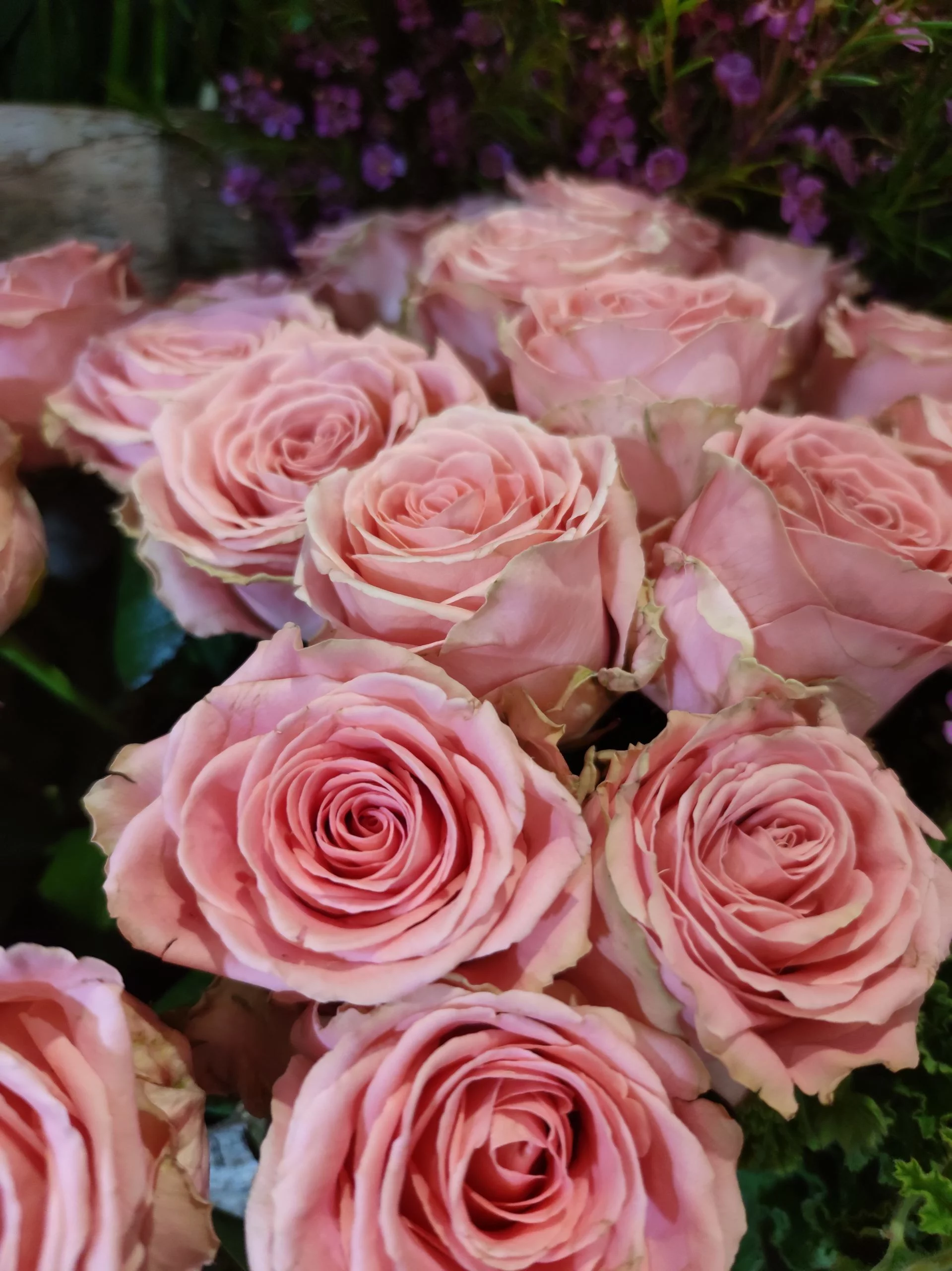 Roses de Acanthe Le Raincy, par Acanthe, fleuriste à Le Raincy