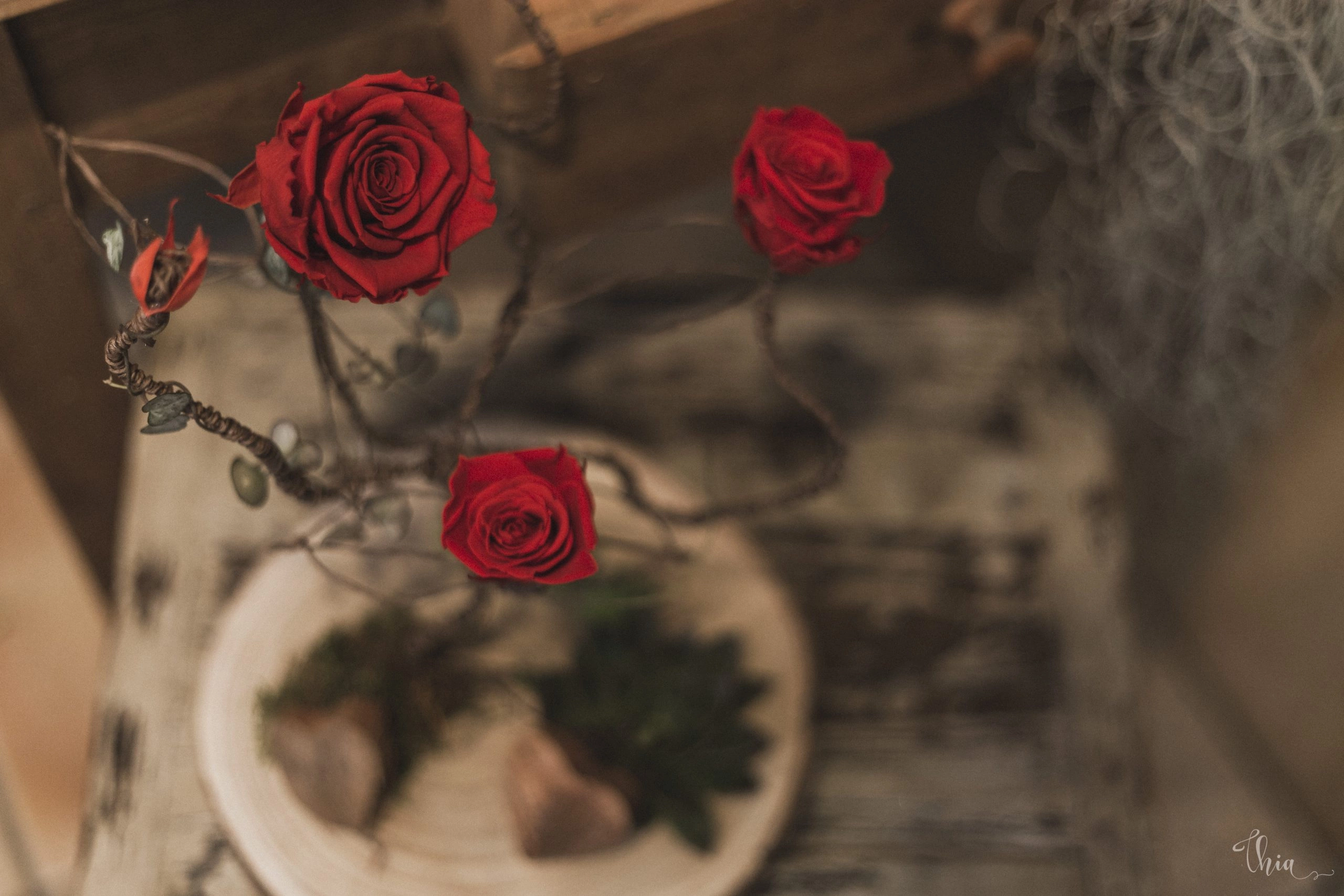 Arbre En Fleurs Stabilisées, par Akane - Le murmure des fleurs, fleuriste à Cuers