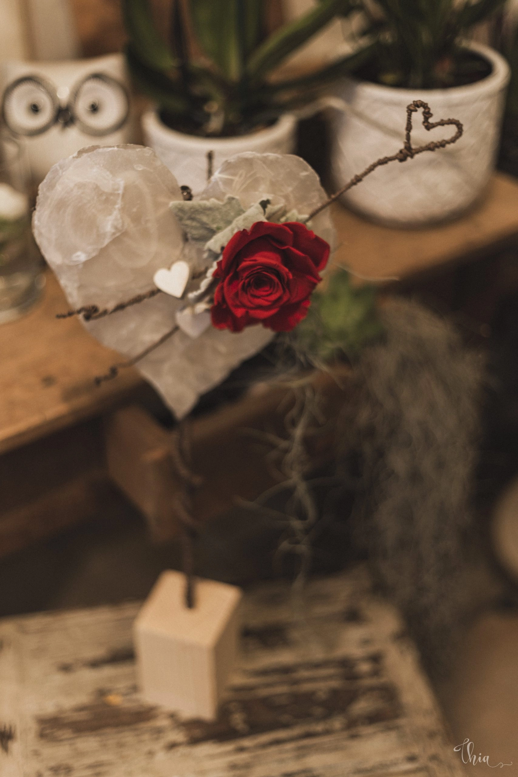Photophore fleur stabilisée, par Akane - Le murmure des fleurs, fleuriste à Cuers