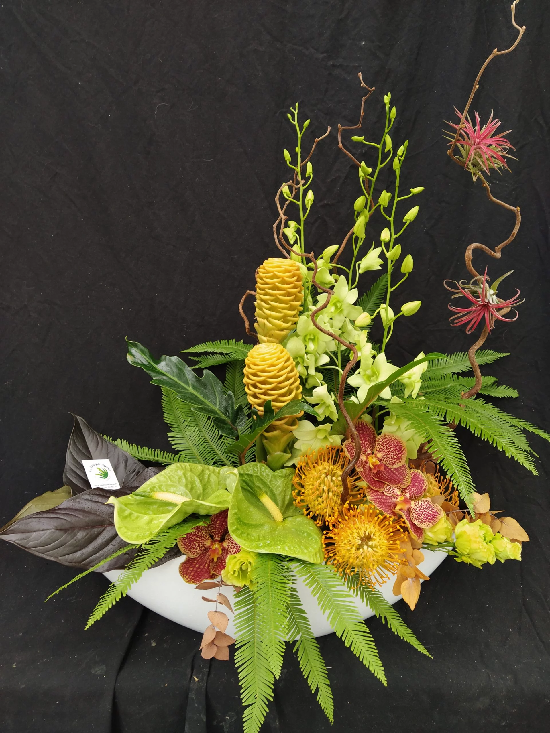 Eloquence, par La Fabrique Végétale, fleuriste à Wissous