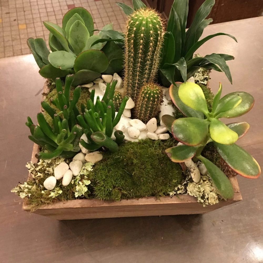 Composition de plantes, par Amapola fleuriste, fleuriste à Paris