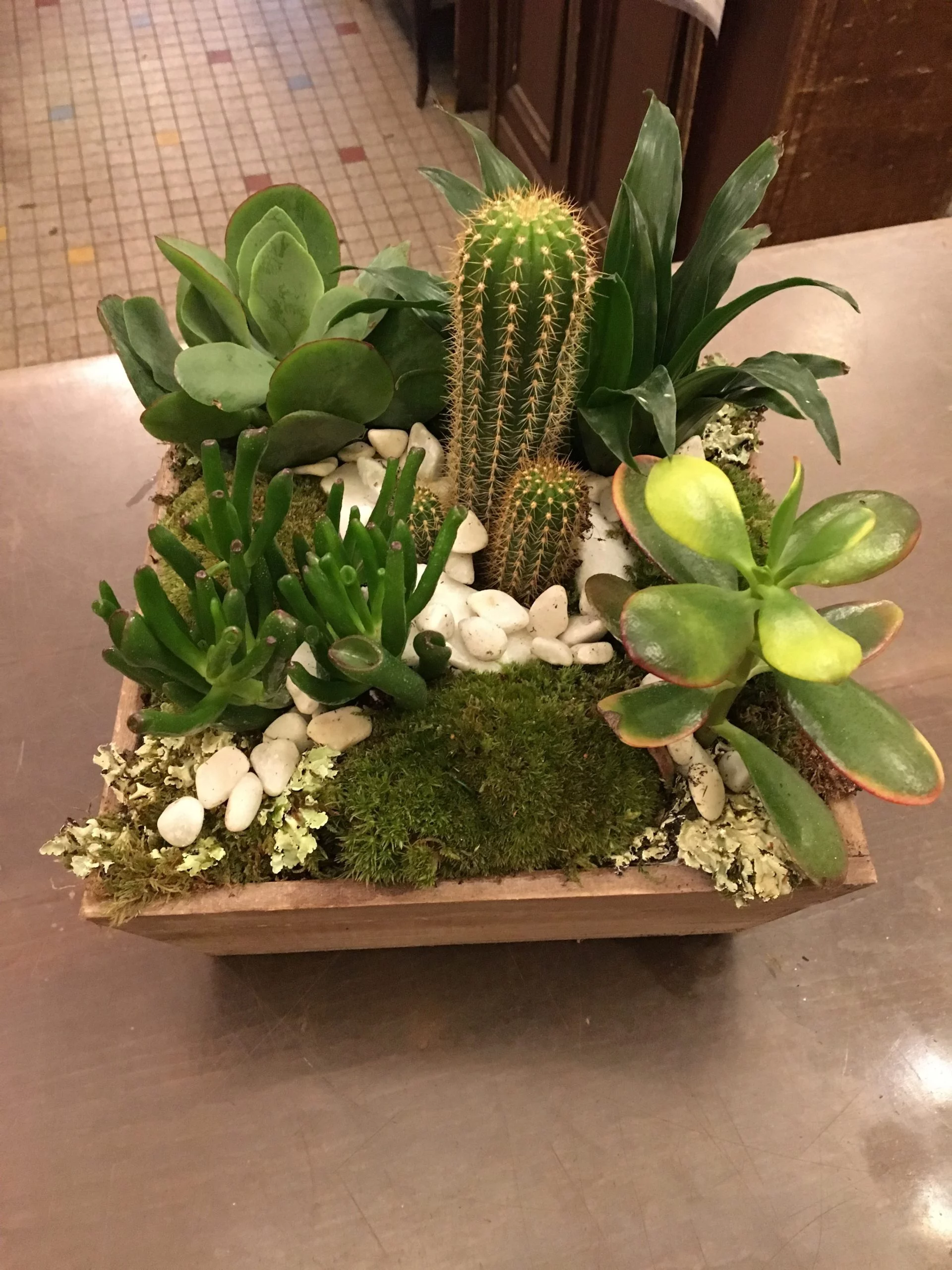 Composition de plantes, par Amapola fleuriste, fleuriste à Paris