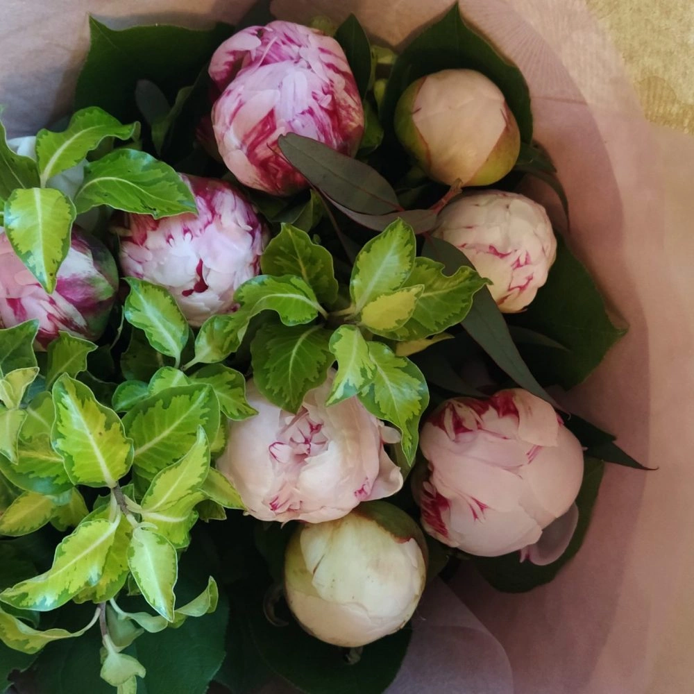 Miss sarah, par La Fabrique Végétale, fleuriste à Wissous