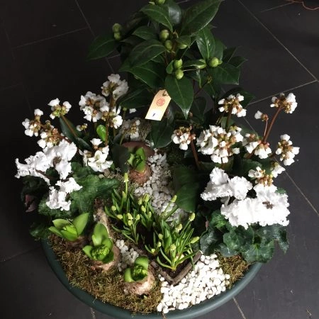 Coupe de plantes extérieures, par Hanakawa, fleuriste à Meudon