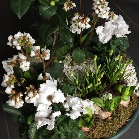 Coupe de plantes extérieures, par Hanakawa, fleuriste à Meudon