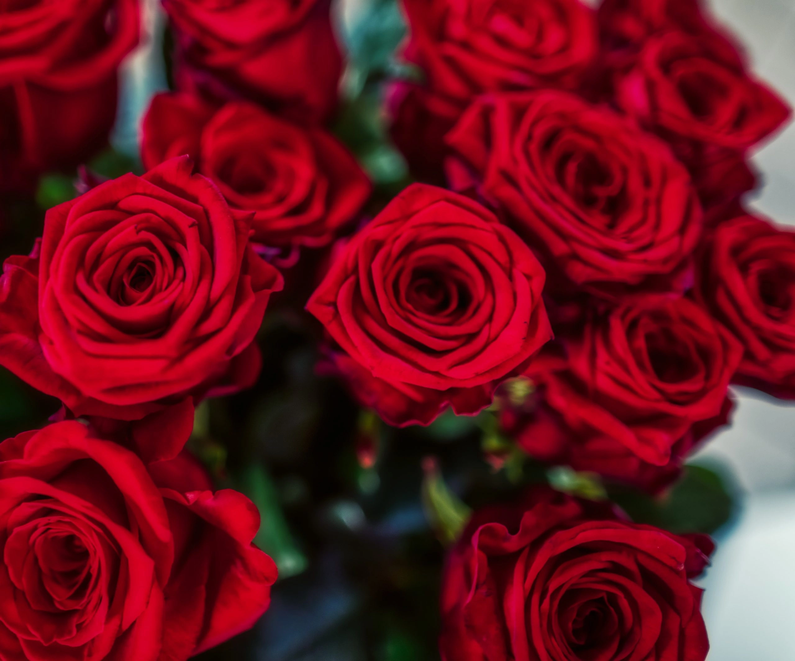Bouquet de Roses Rouges, par Les jolies choses, fleuriste à Couëron