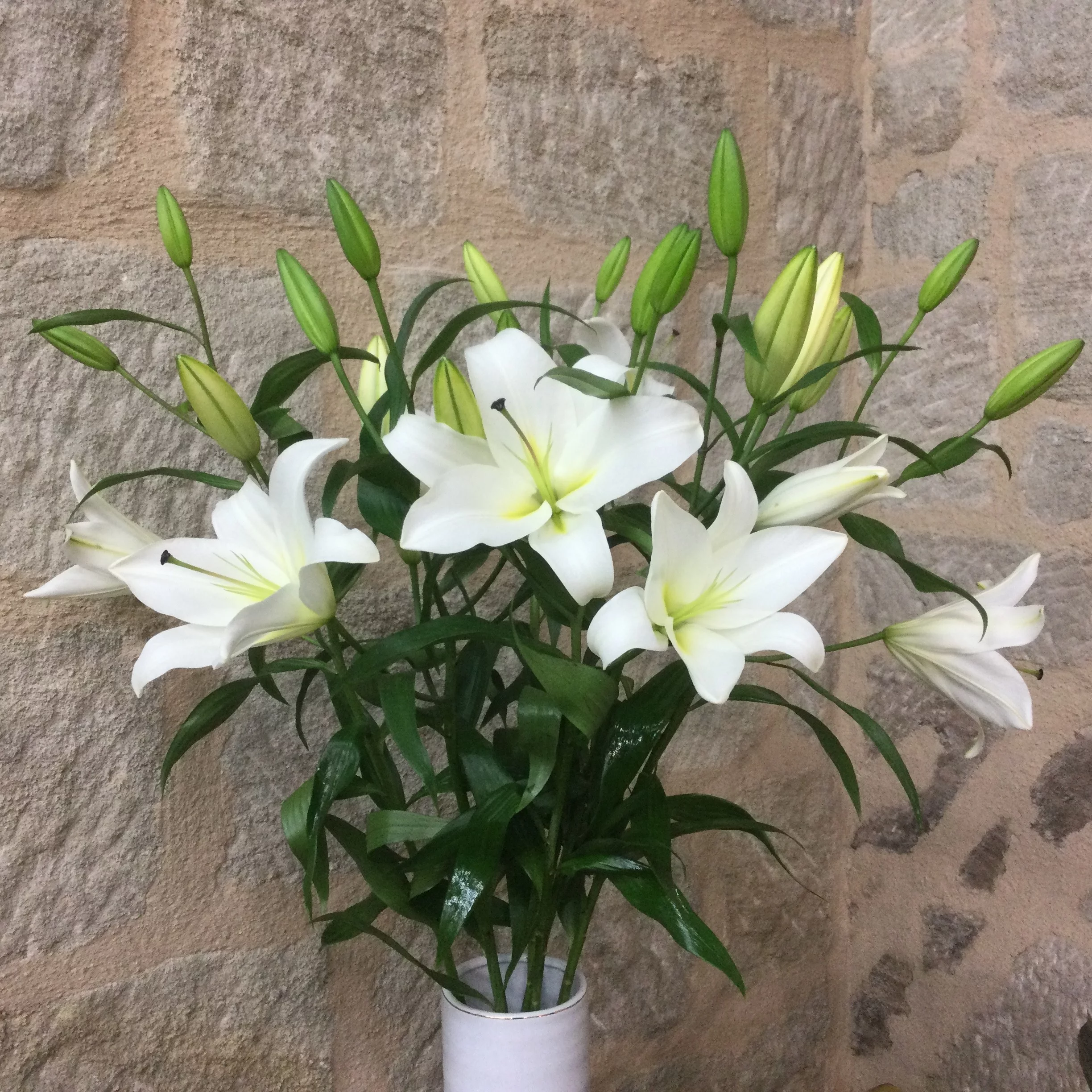 Précieux, par Multiflor, fleuriste à Brive-la-Gaillarde