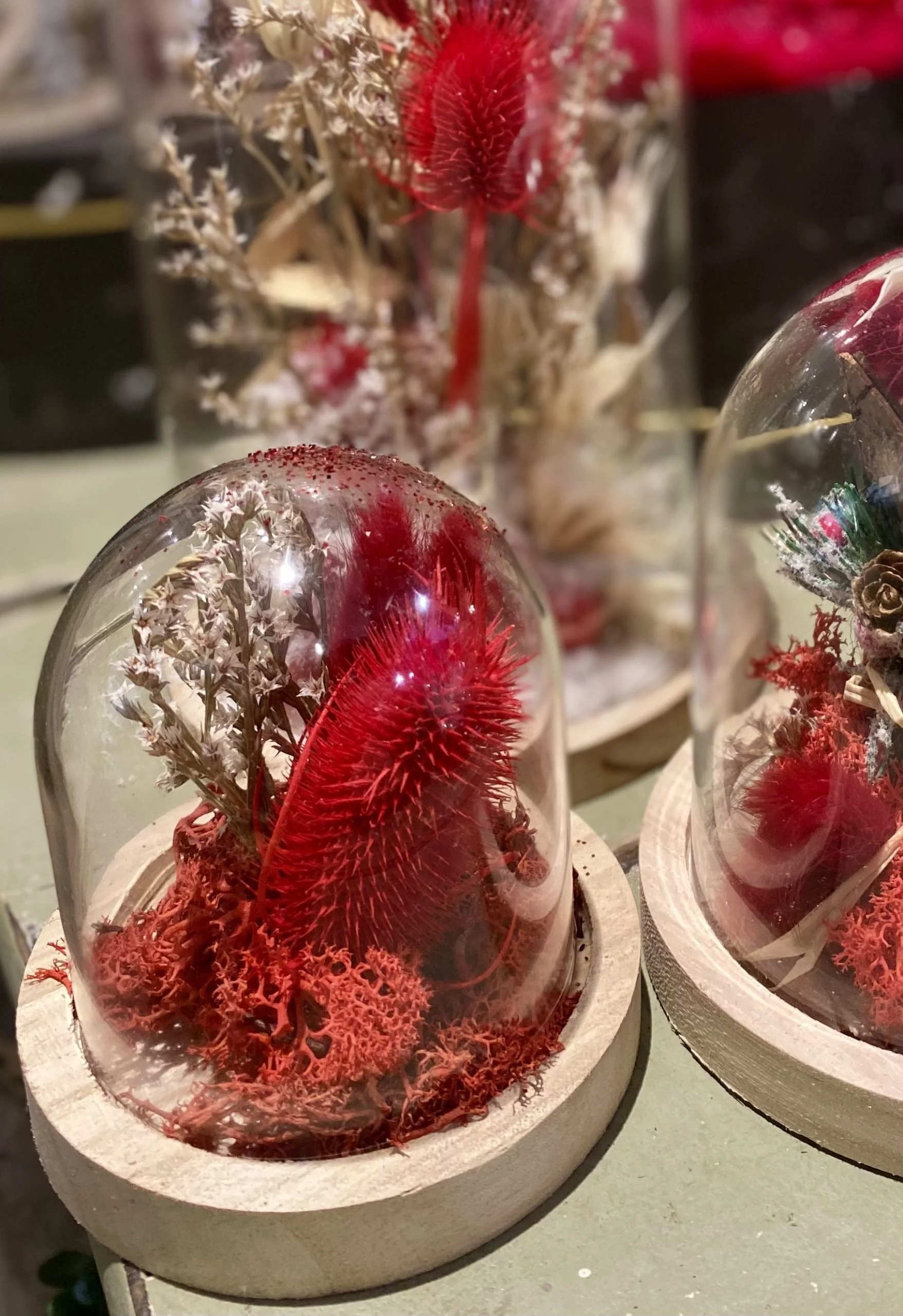 Cloche Bonheur Intemporel – Mini, par Magnolia Fleuriste, fleuriste à Antibes