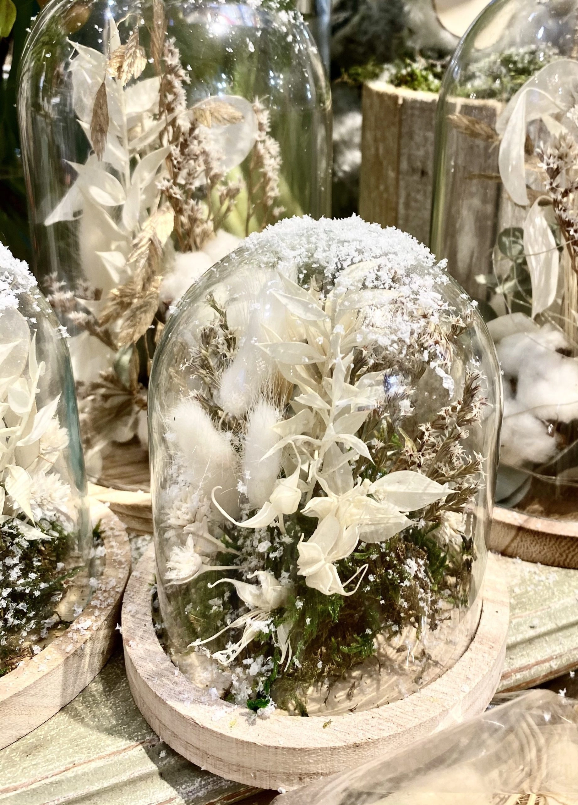 Cloche Bonheur Intemporel – Medium, par Magnolia Fleuriste, fleuriste à Antibes