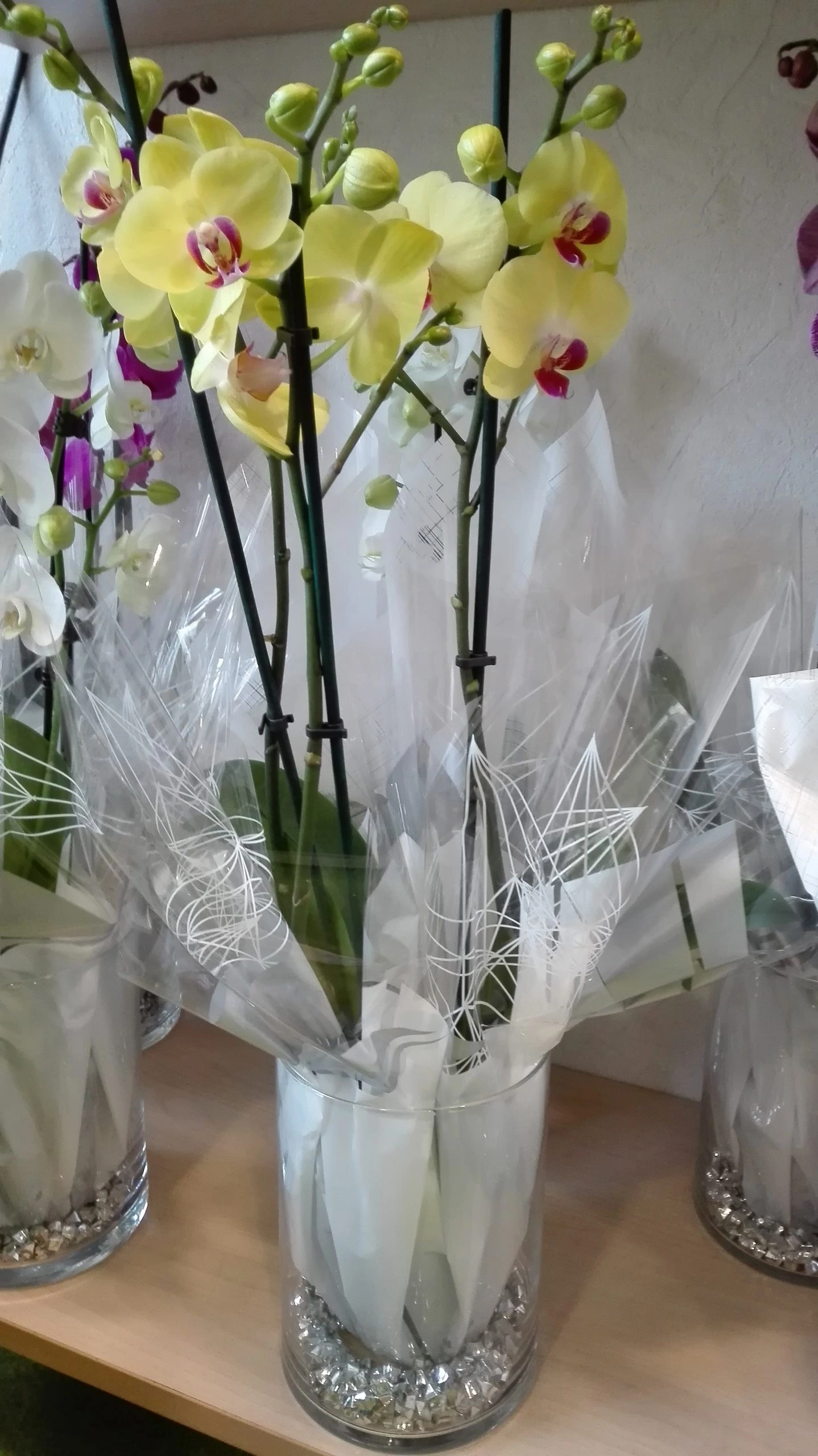 Orchidée, par Julie Fleurs, fleuriste à Carmaux