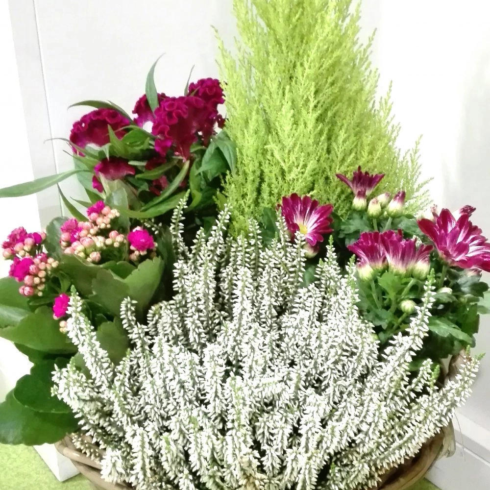 Panier de plantes deuil, par Julie Fleurs, fleuriste à Carmaux